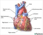 تحقیق-اسکن-قلب