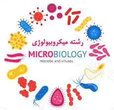 تحقیق میکروبیولوژی