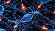 تحقیق مدل سازي رآكتور شيميايي با شبكه‌ هاي عصبي مصنوعي