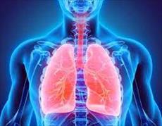 تحقیق فيزيولوژي تنفس